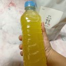 푸르농 네이버블로그