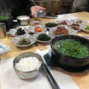통영참복 이미지
