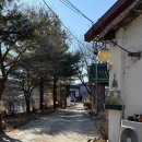 진달래밥상 | 🐥 [양주/내돈내산] 어쩌다 발견해버린 곤드레밥 찐맛집 '진달래향기' 방문기 🍀🍃