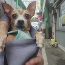 음성장수촌 | 모먼트피아노 촌캉스 후기