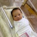 6-233 TS | 우리집에 씨게이트 IRONWOLF와 QNAP TS-233이 필요한 이유?! 아기사진 저장장치