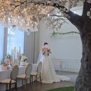경성뷔페 | 더베뉴지 견적(대관료/식대) 공유o (+브라이덜샤워,신부대기실,뷔페,주차 후기)