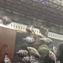 김포실내바다낚시터 이미지