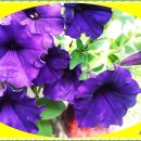 즐거운집 이미지