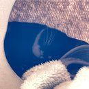 바다고양이식탁 | 추천] 조용한 바다뷰와 고양이, 당신을 위한 완벽한...내돈내산, 카공 카페, 주차장, 맛 리뷰, 솔직후기