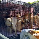 재판농장 이미지