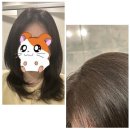 애지 | 올랑 합정본점 | 봄맞이 퍼스널컬러 염색 후기 (애지원장, 매트브라운)