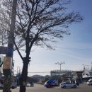 송내주유소 이미지