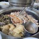 백돼지