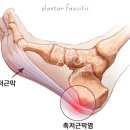 아폴로신경외과의원 이미지