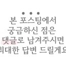 캣그램 광주 고양이분양 이미지