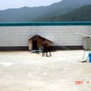 광호주유소 화장실 이미지