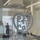 세븐일레븐 울산삼산웨딩점 | 울산 삼산동 미용실 웨딩촬영 전 필수! 붉은기 없는 매트브라운 염색 후기 (이프지헤어 삼산점 efz hair)