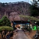 송어의집 네이버블로그