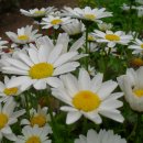 관음어린이집 이미지