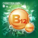 B12 이미지
