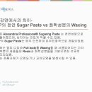 뉴욕슈가링