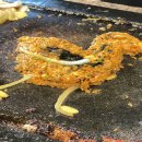 오리고집 이미지