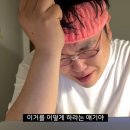 은빛카센타 이미지