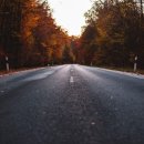 가자남쪽나라 이미지