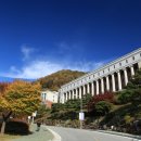 동원대학교 이미지