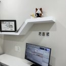 리브동물병원 이미지