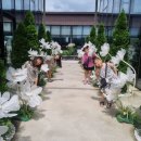 다사읍작은도서관 | 데이지꽃 카페♡ 인생사진 찍기 좋은 벨베꼼메 ♡ 사진 맛집 데이트 ♡