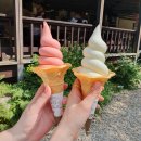 화이트목장 이미지