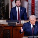 pet 10라 3194 이미지