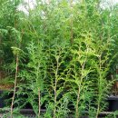 춘기농장 이미지