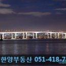 반도114공인중개사사무소 이미지