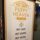 퍼피해븐 이미지