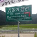 곰돌이광고기획