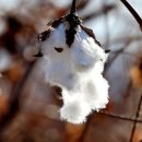 신문에 나온 알아두면 좋을 이야기들(2월13일) 이미지