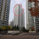 우솔동물병원 이미지