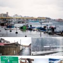 겨울철 수산물의 천국 강원도 주문진항 이미지