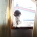 뚱이헤어 - 달서구 | 뚱이헤어