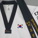 한국체대대관령태권도