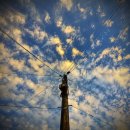 태청식당 이미지