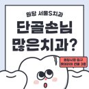 캐슬치과 네이버블로그