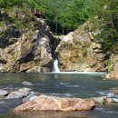 백토미가 이미지