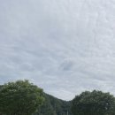 라일락카페라일락리조트 이미지
