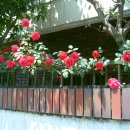 괴정4동-1 이미지