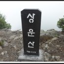 (주)한신고속관광 Daum카페