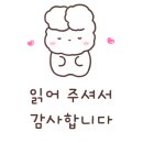 차돌체육관 이미지