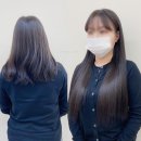 어여쁨 붙임머리
