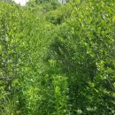 싸리골농장 이미지