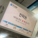 노원행복한약국 | 5월 바쁘다 베이비스👶🏻💚