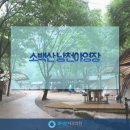 에스다인치과의원 네이버블로그