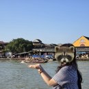 카페뜰,시나브로 | 송또베 - 이번엔 다낭 [1일차]